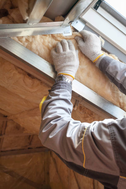 Best Insulation Maintenance and Repair in Terryville, CT